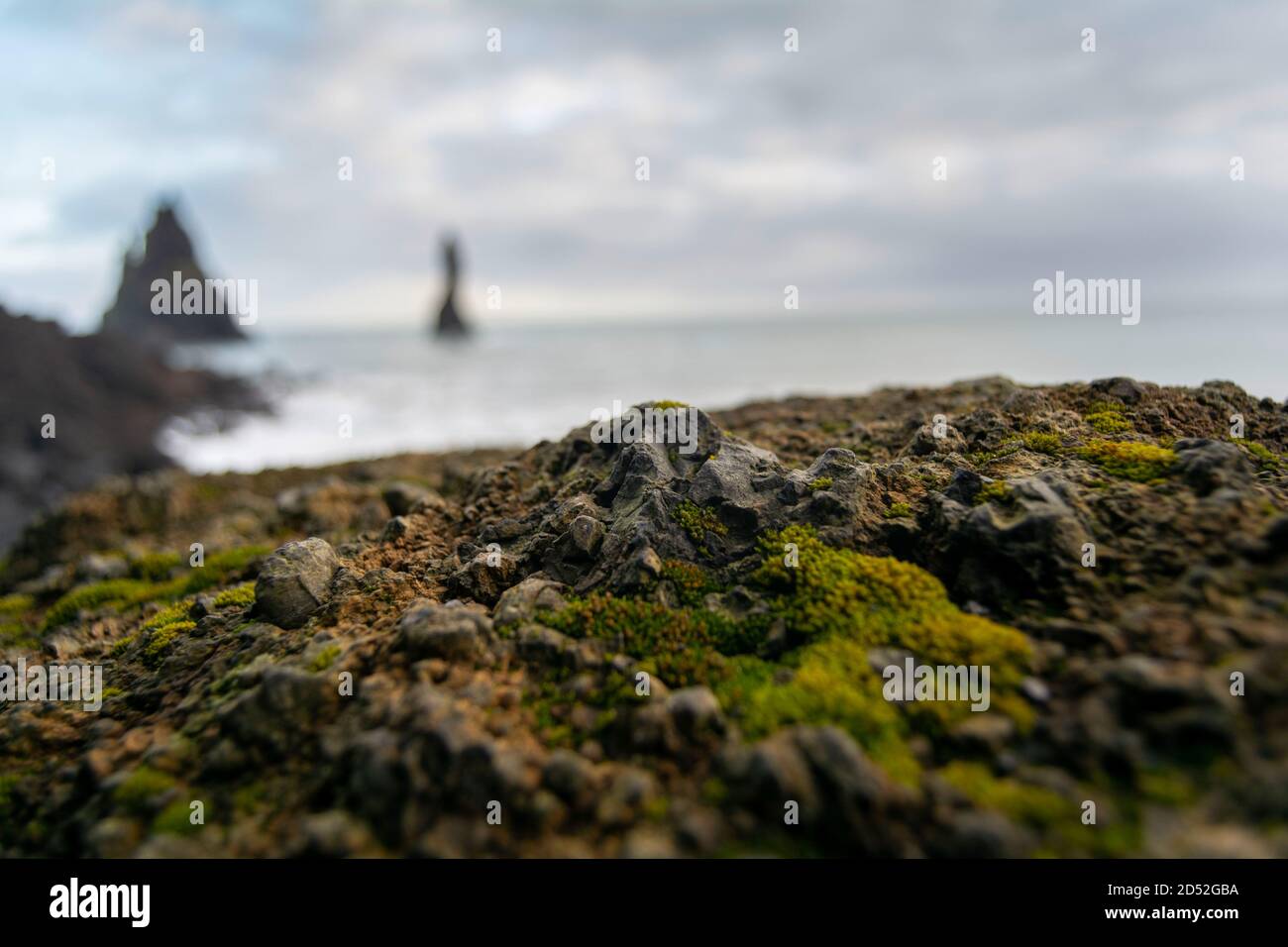 Ein moosiger Fels aus der Nähe, im Hintergrund das Meer und zwei felsige Säulen aus dem Wasser, genannt Reynisdranga, schwarzer Sandstrand Reynisfjara, Island. Stockfoto