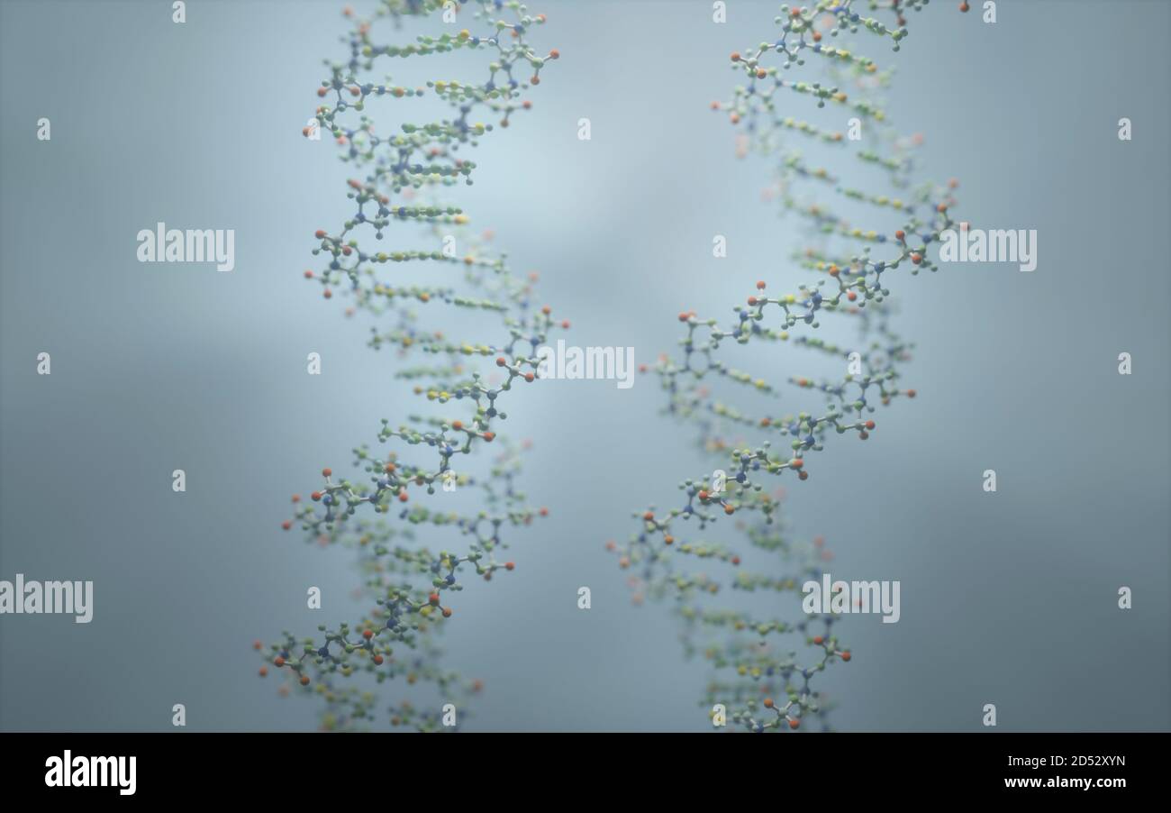 DNA ist ein Molekül und eine Doppelhelix, die genetische Anweisungen für die Entwicklung, Funktion, Wachstum und Fortpflanzung aller bekannten Organismen enthält. Stockfoto