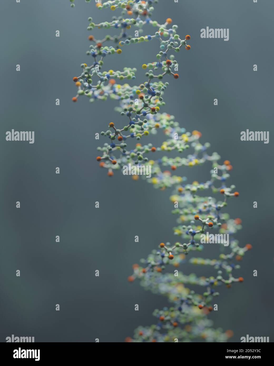 DNA ist ein Molekül und eine Doppelhelix, die genetische Anweisungen für die Entwicklung, Funktion, Wachstum und Fortpflanzung aller bekannten Organismen enthält. Stockfoto