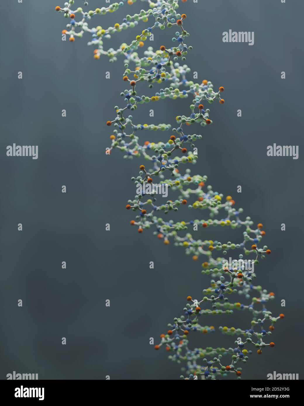DNA ist ein Molekül und eine Doppelhelix, die genetische Anweisungen für die Entwicklung, Funktion, Wachstum und Fortpflanzung aller bekannten Organismen enthält. Stockfoto