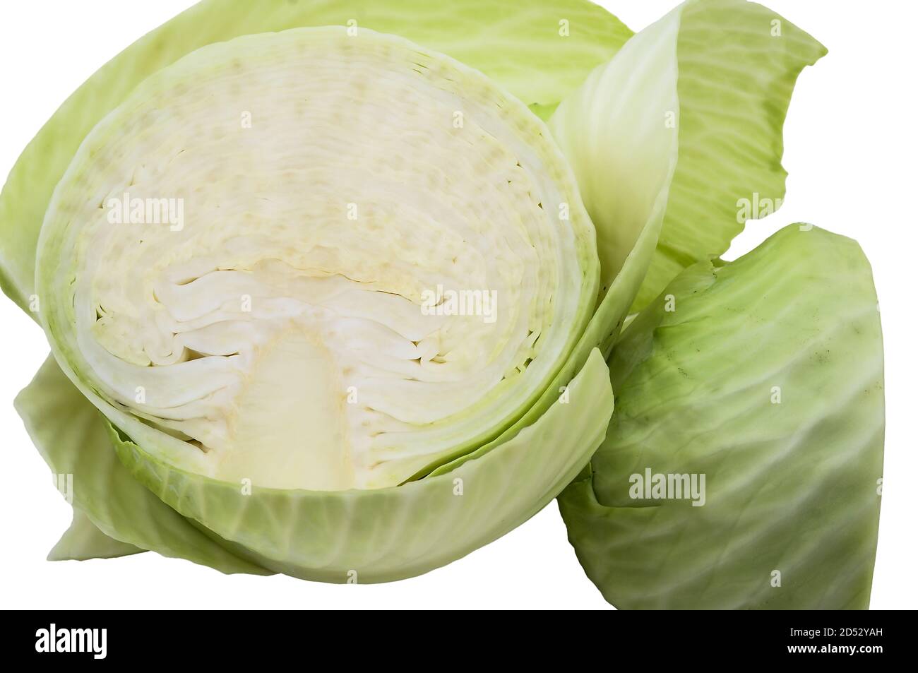 Weißkohl, Kohlblätter Gemüse, Kohlkopf Stockfoto