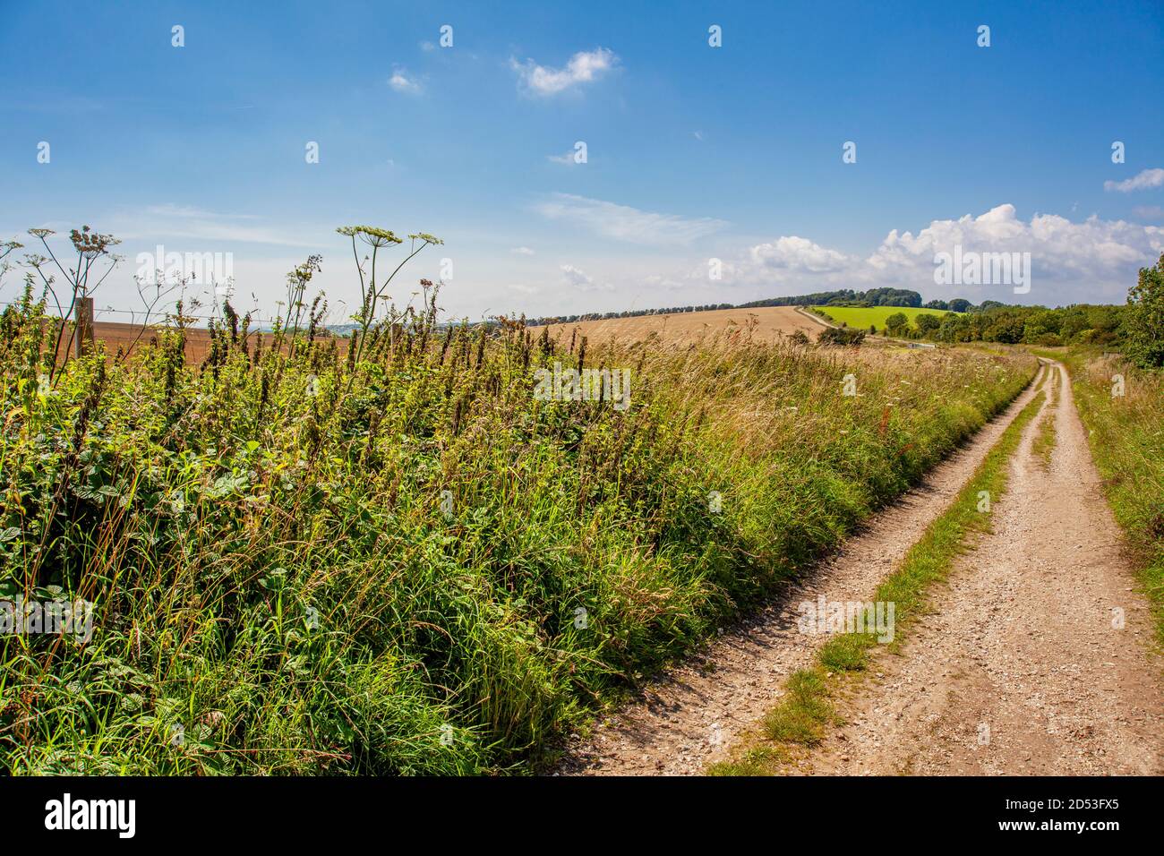 Sommertag auf dem South Downs Way, West Sussex, Großbritannien; über dem Arun Valley Stockfoto