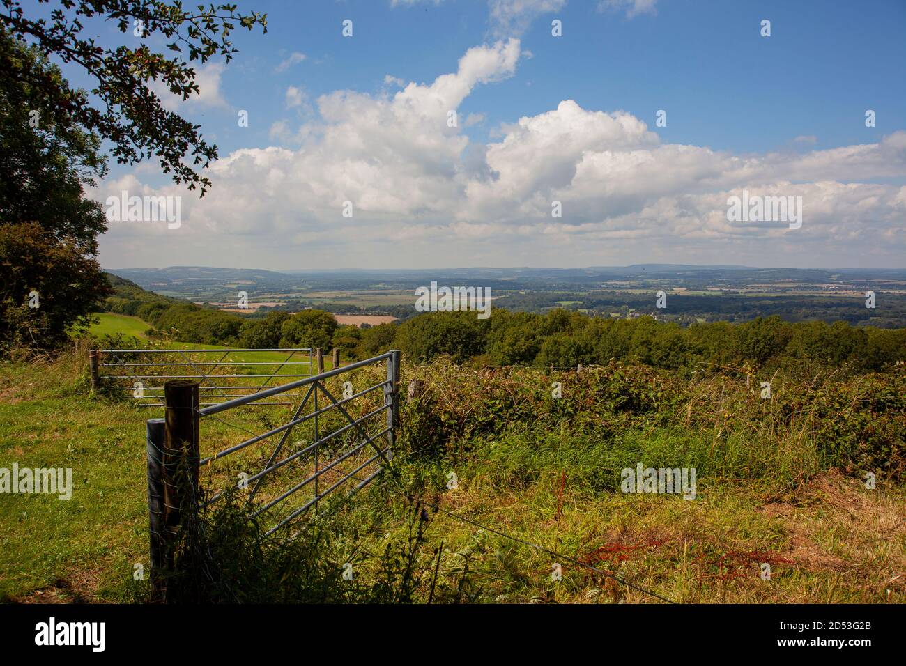Sommertag auf dem South Downs Way, West Sussex, Großbritannien; über dem Arun Valley Stockfoto