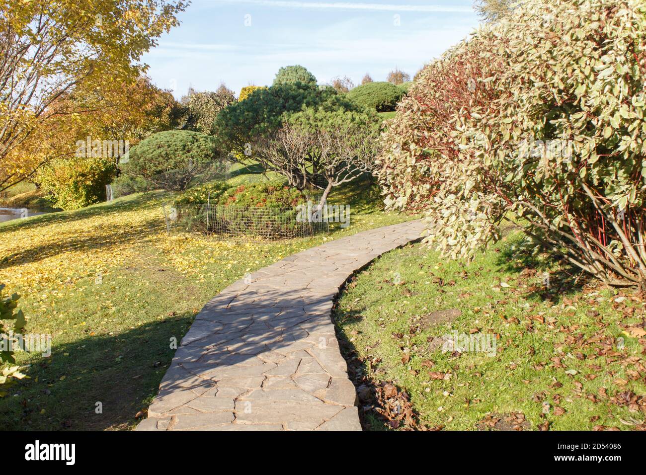 Park mit grünen Rasen, Bäumen, Hecken, getrimmten Büschen im Herbst. Modernes Landschaftsdesign. Stockfoto