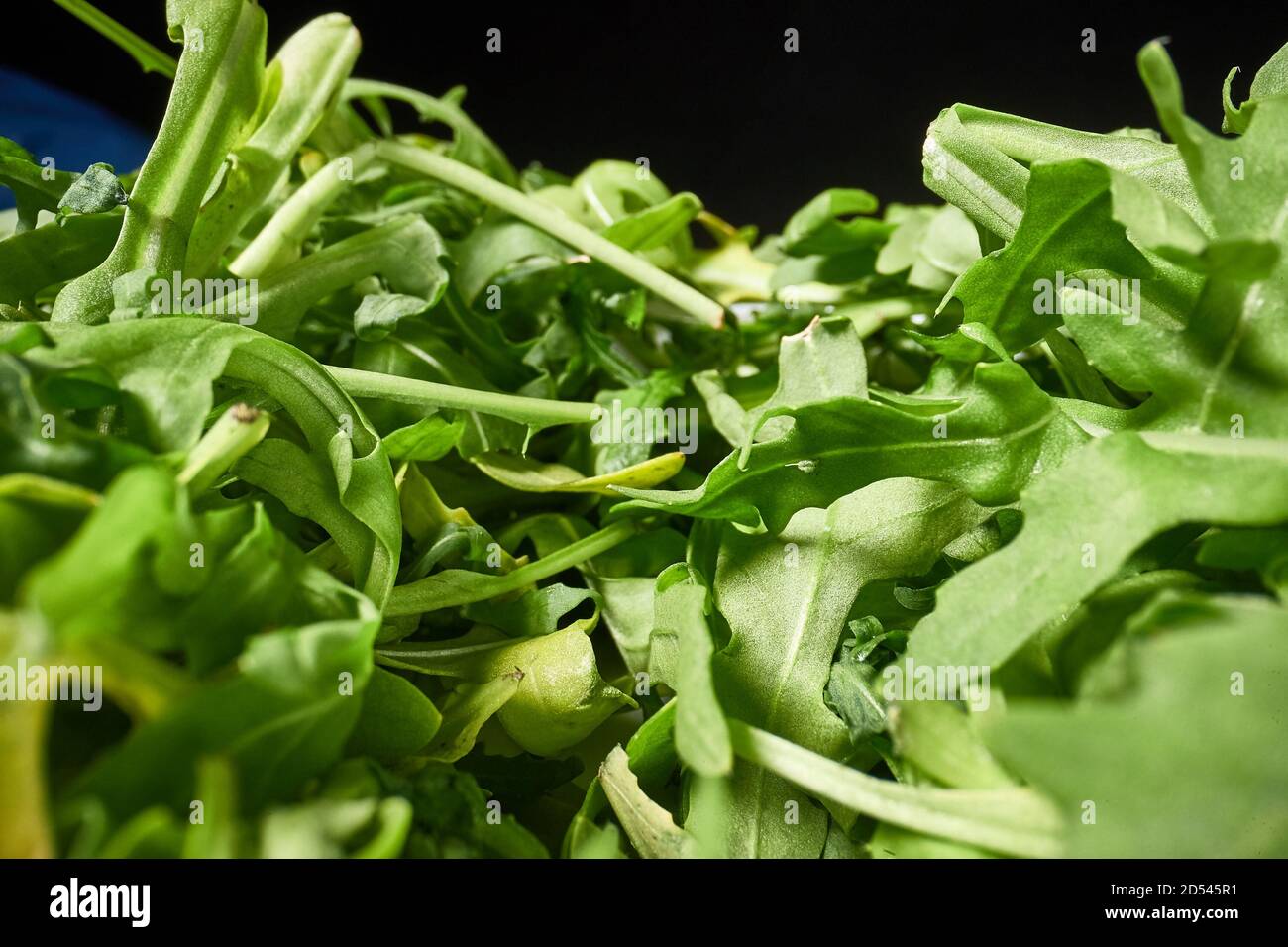 Frisches grünes Salatmakro mit Sondenlinse Stockfoto
