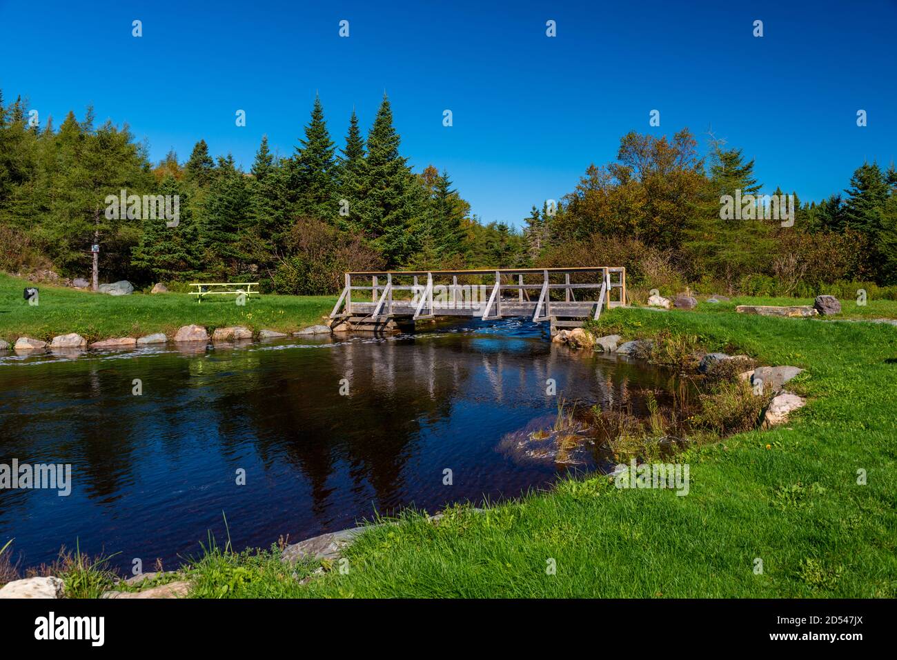 Kleiner Teich umgeben von Wald an einem sonnigen Tag, ist der Himmel tiefblau. Die Bäume sind hoch grün mit einigen roten Herbstblättern. Stockfoto