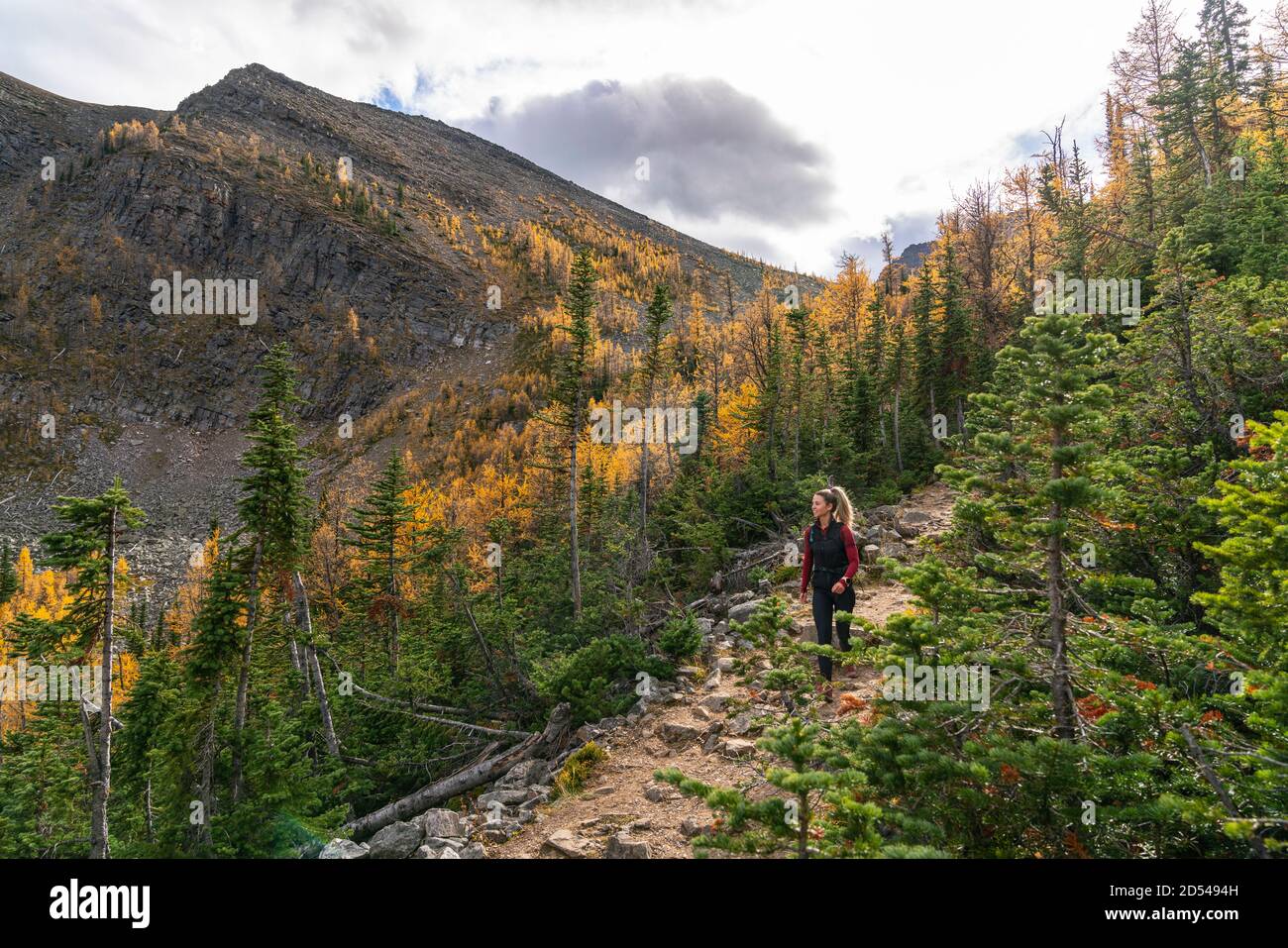 Wandern durch das Paradise Valley im Herbst Stockfoto