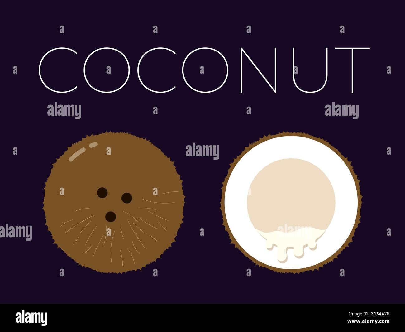Vektor von Kokosnuss und in Scheiben geschnittene Hälfte von Kokosnuss auf dunkel Hintergrund Stock Vektor