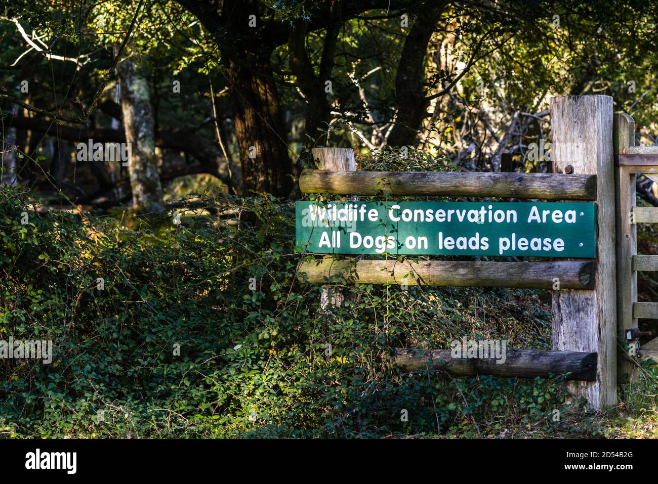 Wildlife Conservation Area Alle Hunde auf der Spur Bitte melden Sie sich im New Forest National Park in Hampshire, England, Großbritannien Stockfoto