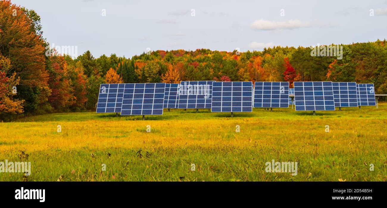 Ländliche Farm Feld Ernte der Energie aus der Sonne mit Sonnenkollektoren mit Bäumen im Herbst Laub Farben in der Hintergrund Stockfoto