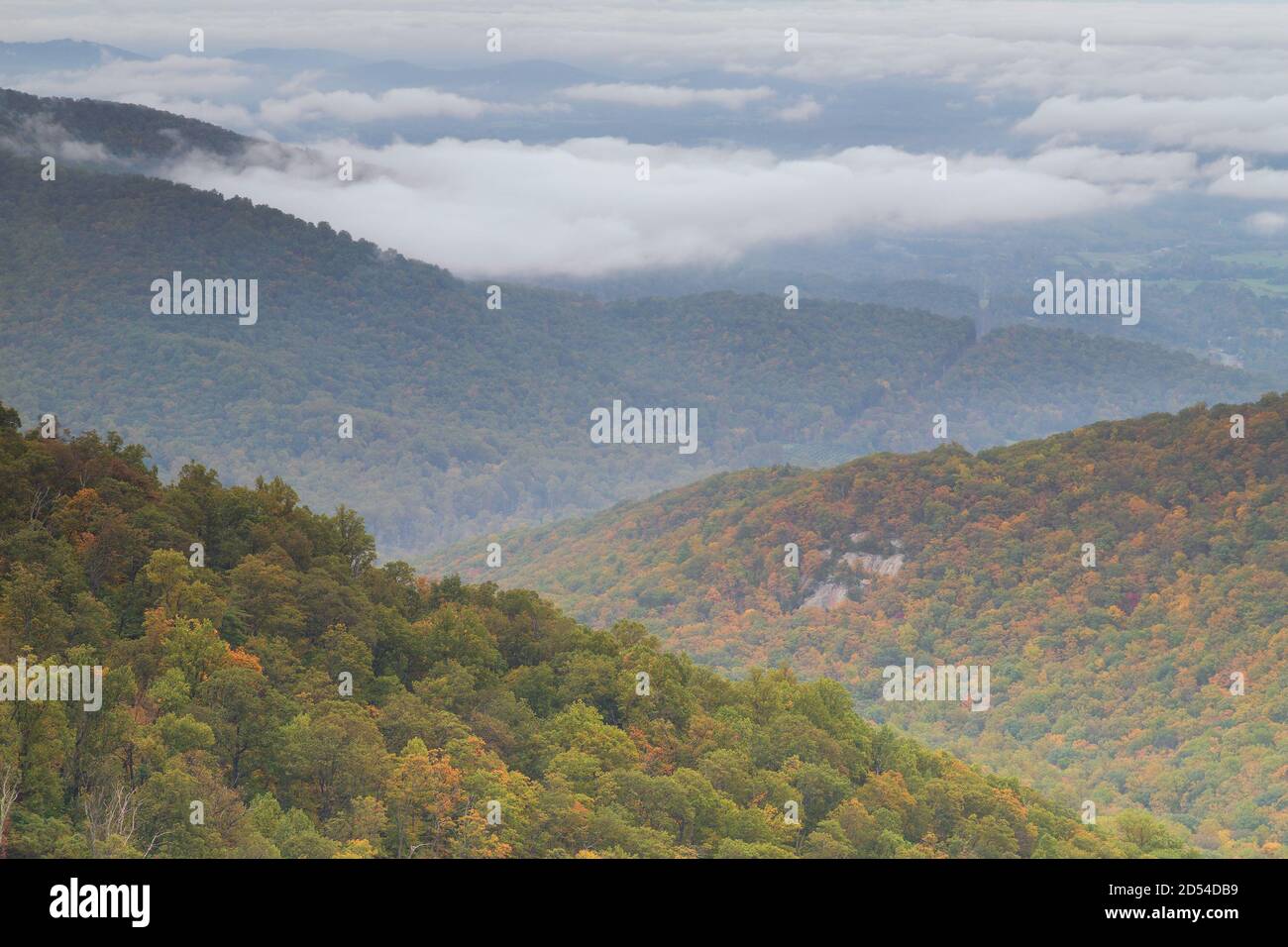 Herbstszene mit Blick auf die Bergketten des Shenandoah Valley vom Skyline Drive im Shenandoah National Park, USA Stockfoto