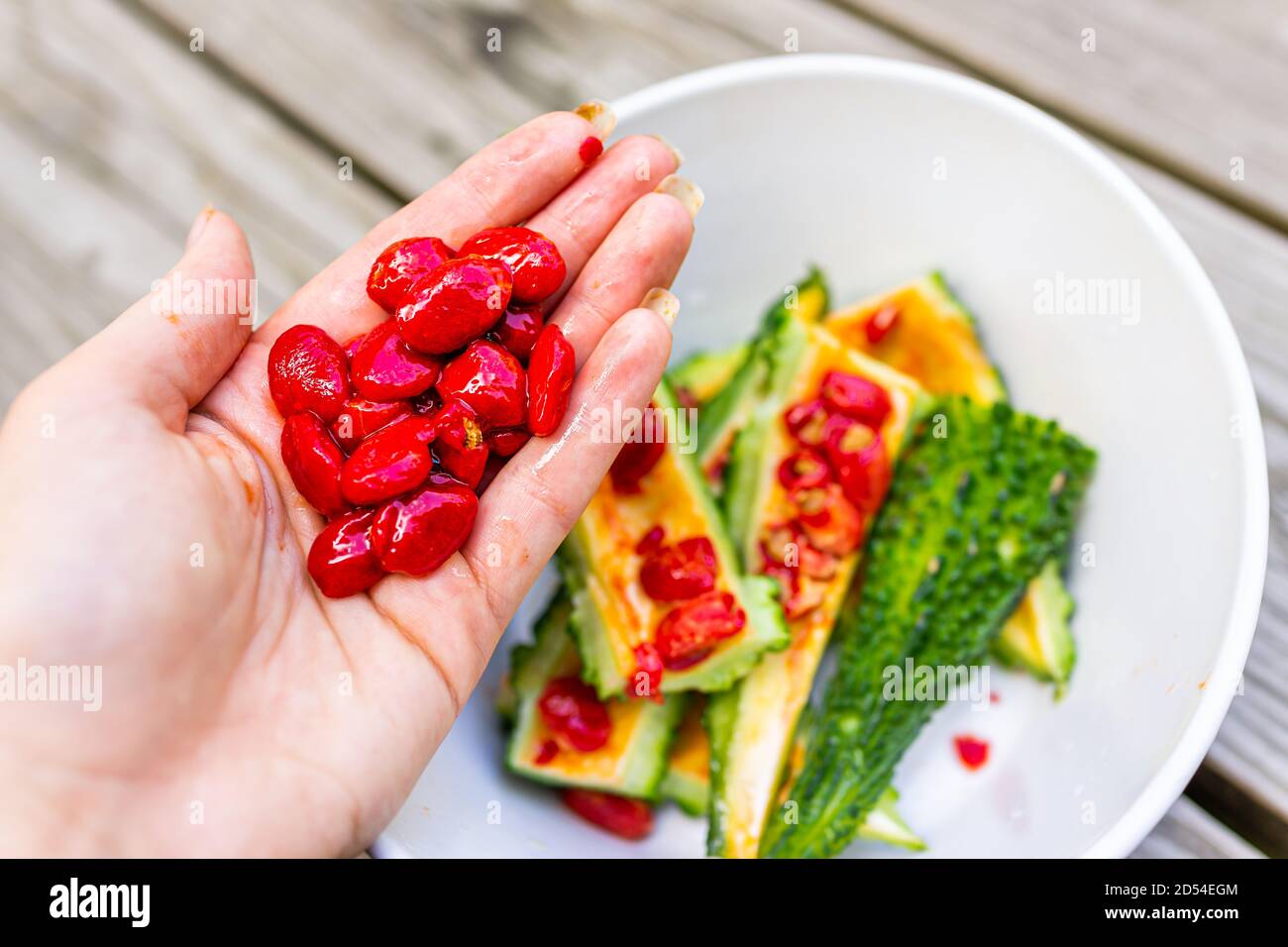 Nahaufnahme der Hand hält rote Bittermelone Gemüsesamen Beschichtung Das schmeckt und sieht aus wie geröstete rote Paprika mit Hintergrund Der Platte Stockfoto