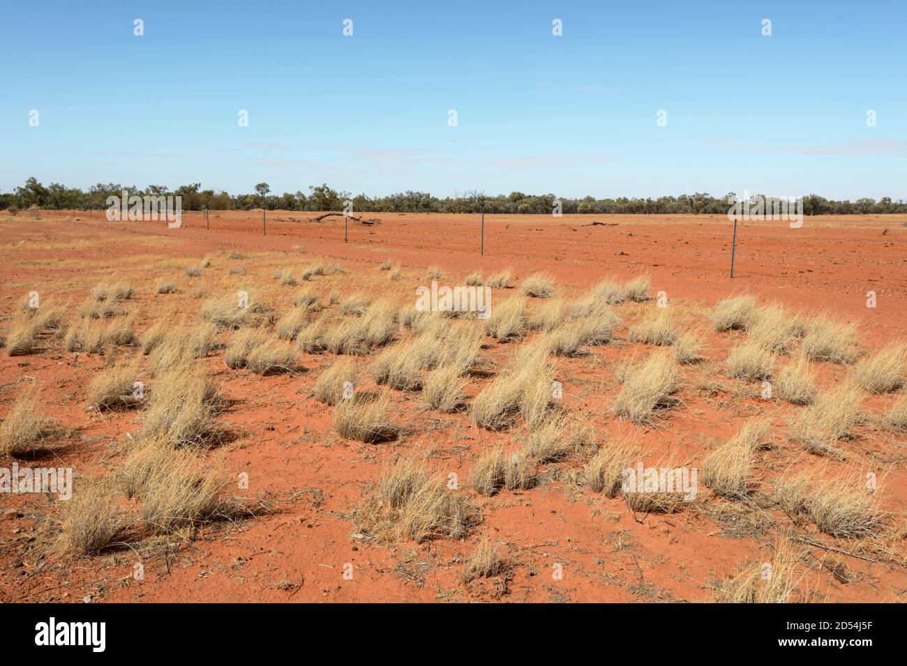 Typische Ansicht des ariden australischen Outback im Red Centre, in der Nähe von Boulia, Channel Country, Queensland, QLD, Australien Stockfoto