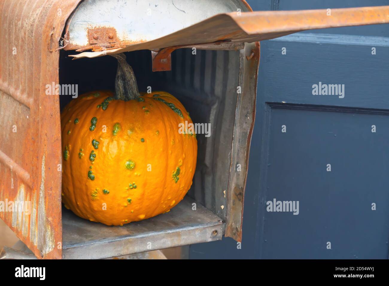 Ein orangefarbener Kürbis in einem rostigen Briefkasten mit Deckel. Stockfoto