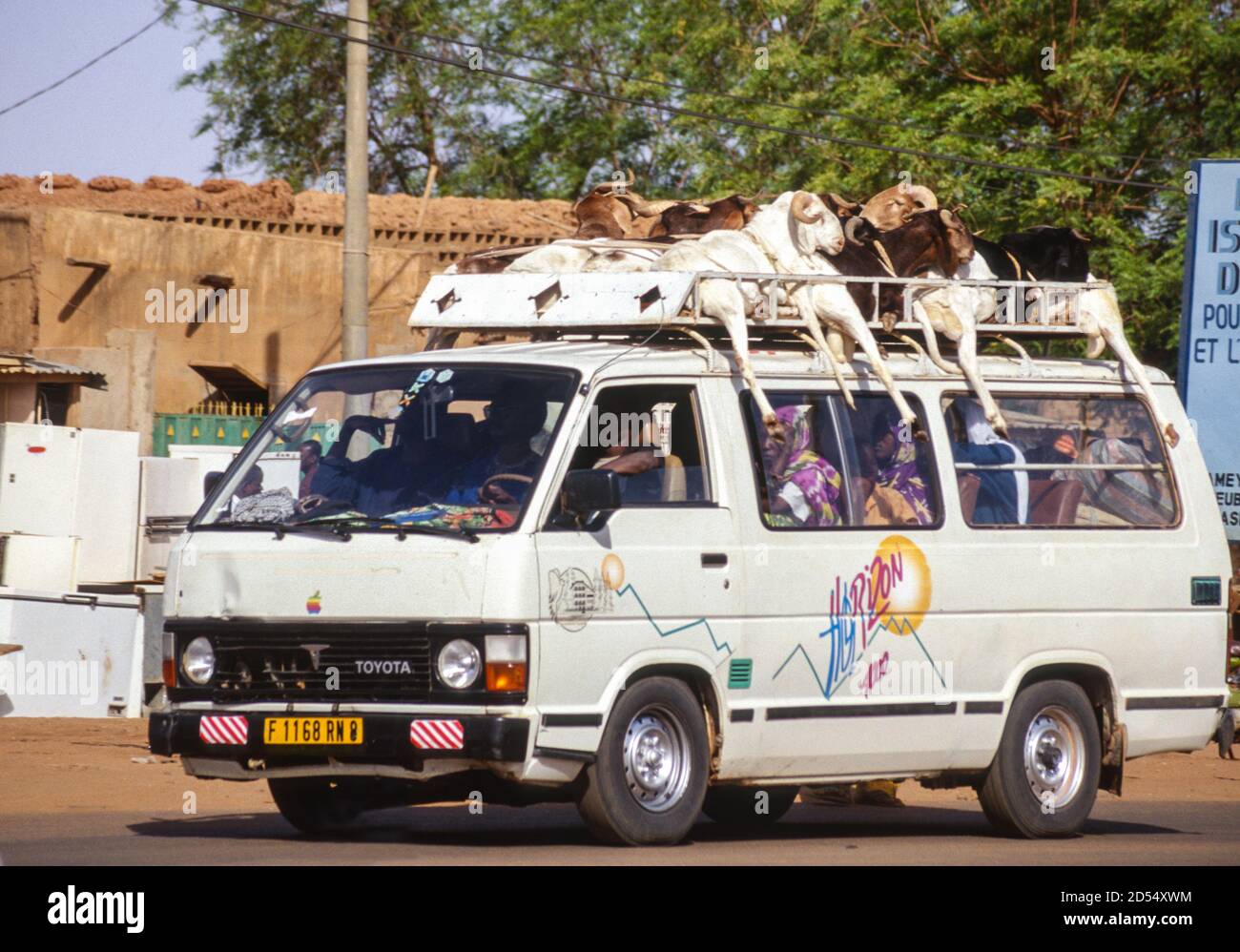 Niamey, Niger. Kleinbus, der Schafe zum Markt transportiert. Fotografiert Im März 1999. Stockfoto