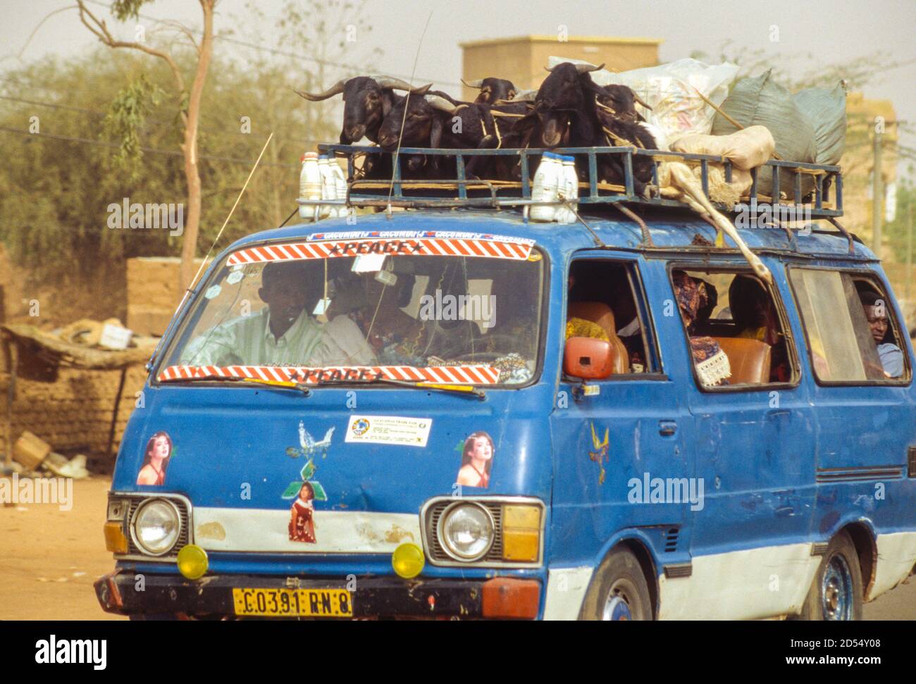 Niamey, Niger. Kleinbus, der Schafe zum Markt transportiert. Fotografiert Im März 1999. Stockfoto