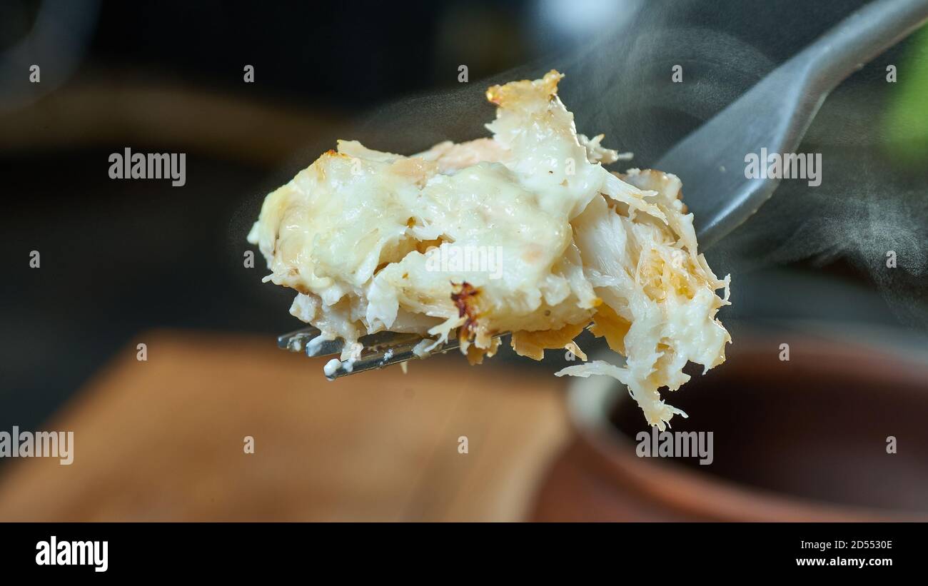 Russische Paschket - Steinbutt Pate in saurer Sahne gebacken Stockfoto