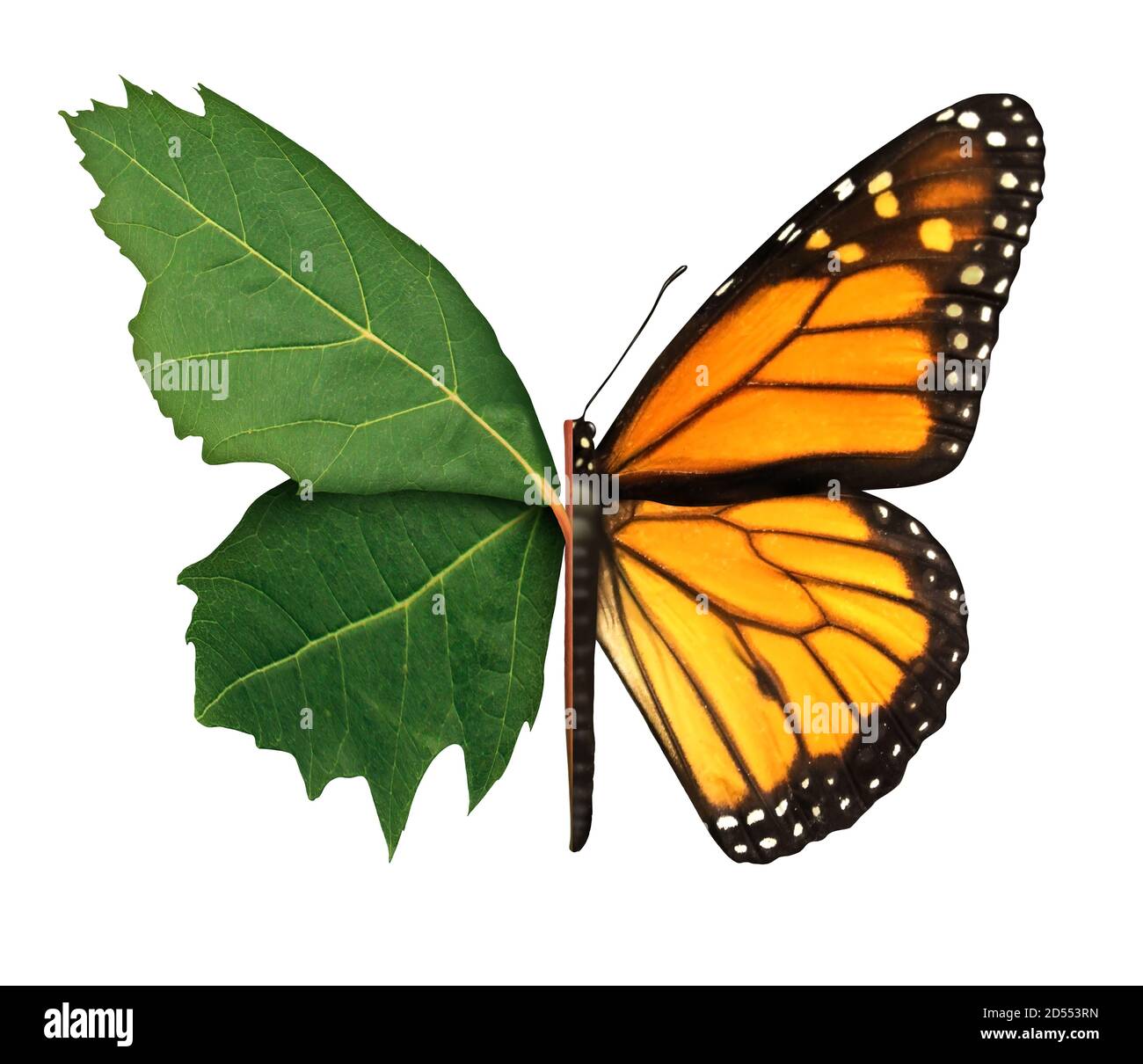 Habitat Symbol und Ökologie Konzept als Blatt und Schmetterling isoliert auf einem weißen Hintergrund in einem 3D-Illustration-Stil. Stockfoto
