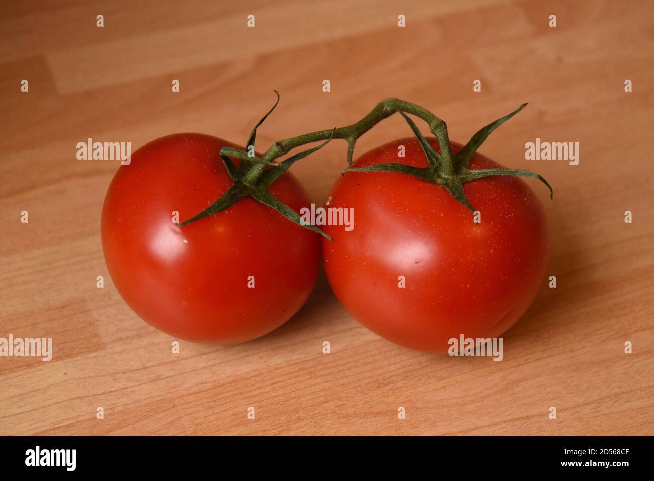 Zwei rote Tomaten auf einer Weinrebe Stockfoto