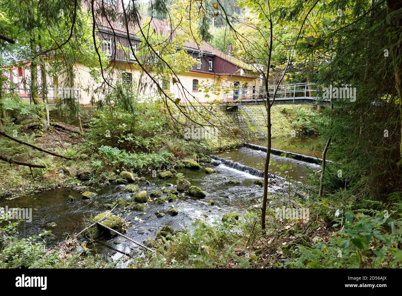 Okertal im Harz, Verlöbungsinsel, Deutschland. Stockfoto