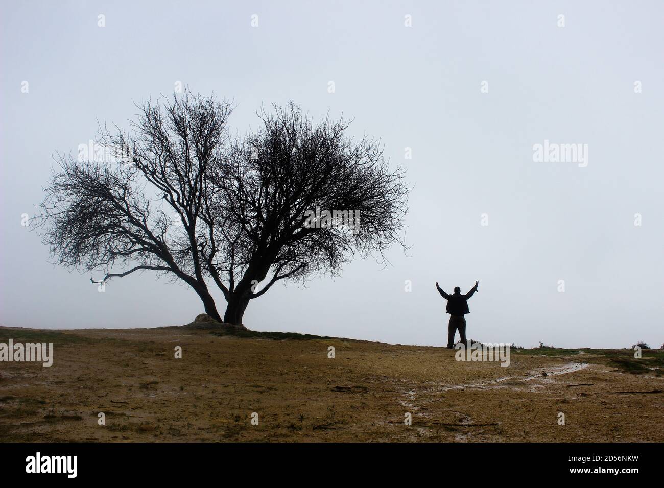 Einsamer Mann, ein junger Mann steht neben Baum im Nebel auf einem verschwommenen Hintergrund eines nebligen Waldes, geheimnisvolle mystische Konzept. Stockfoto