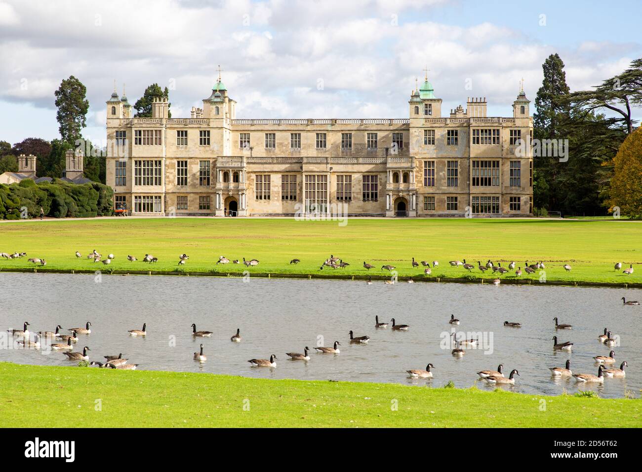 Rasen, Gänse, Fluss Granta vor Audley End House and Gardens, Saffron Walden, Essex, England, Großbritannien Stockfoto