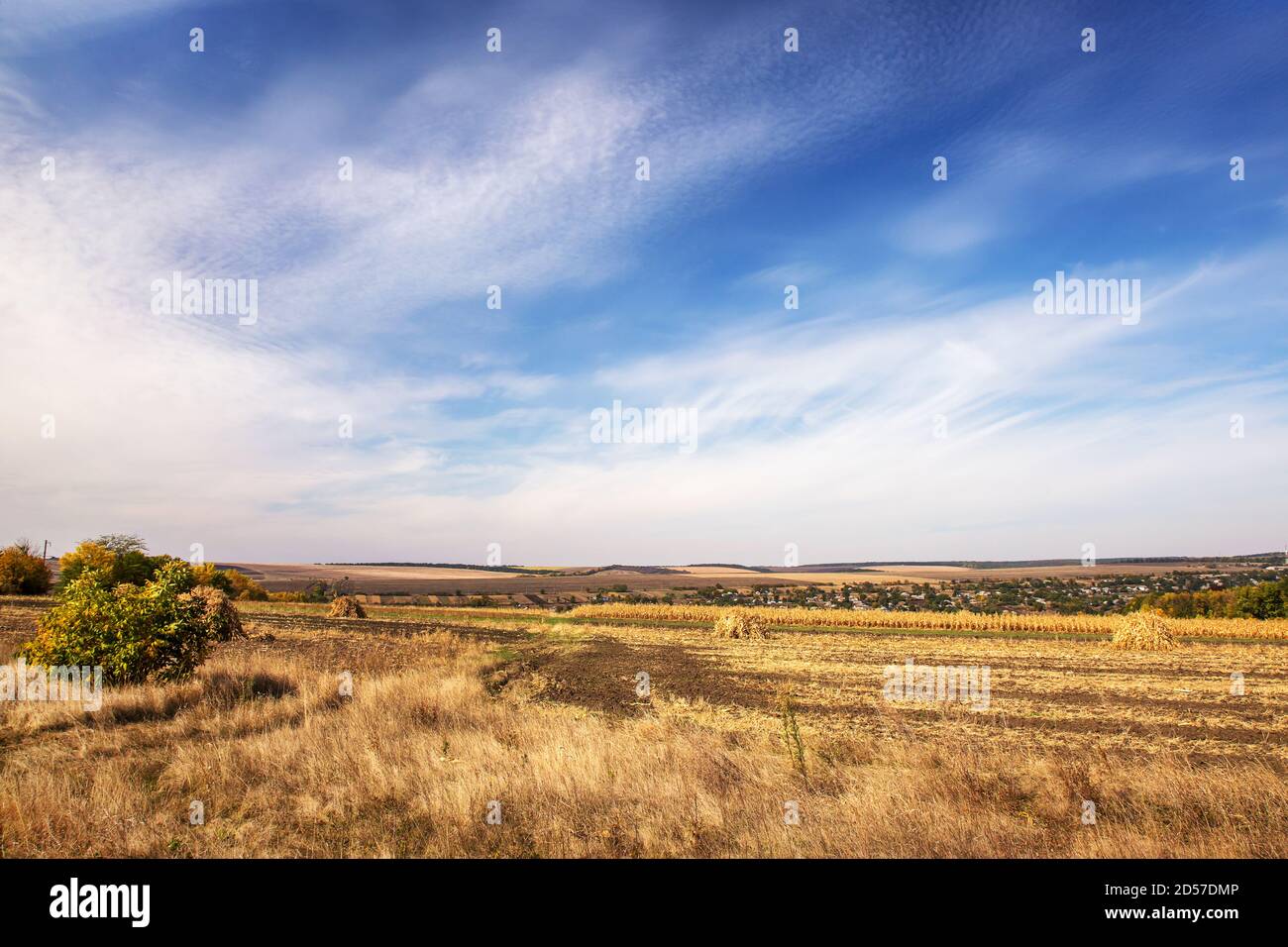 Herbstliche Landschaft. Gelbes Feld und blauer Himmel. Stockfoto