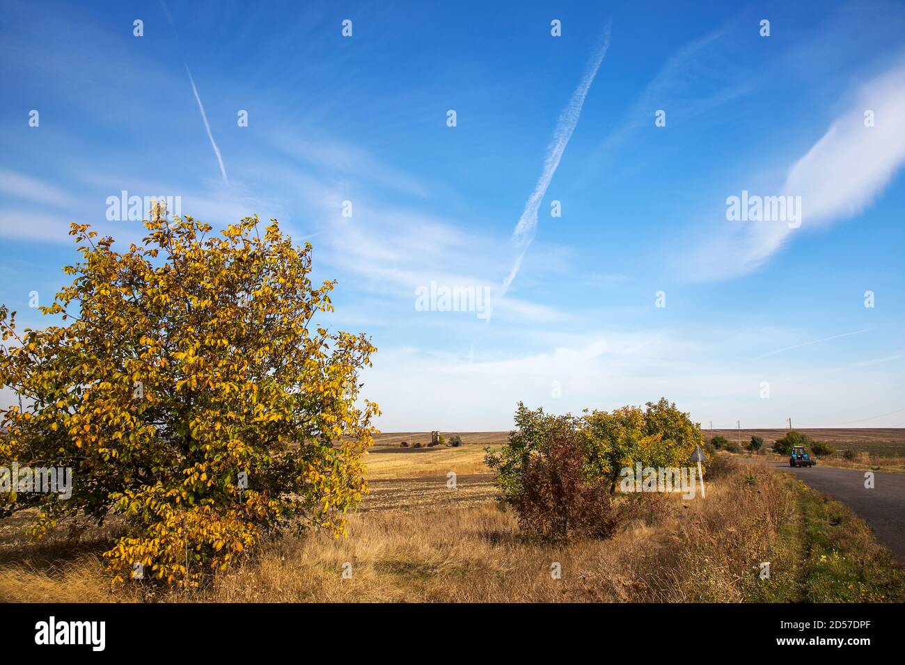 Herbstliche Landschaft. Gelbes Feld und blauer Himmel. Stockfoto