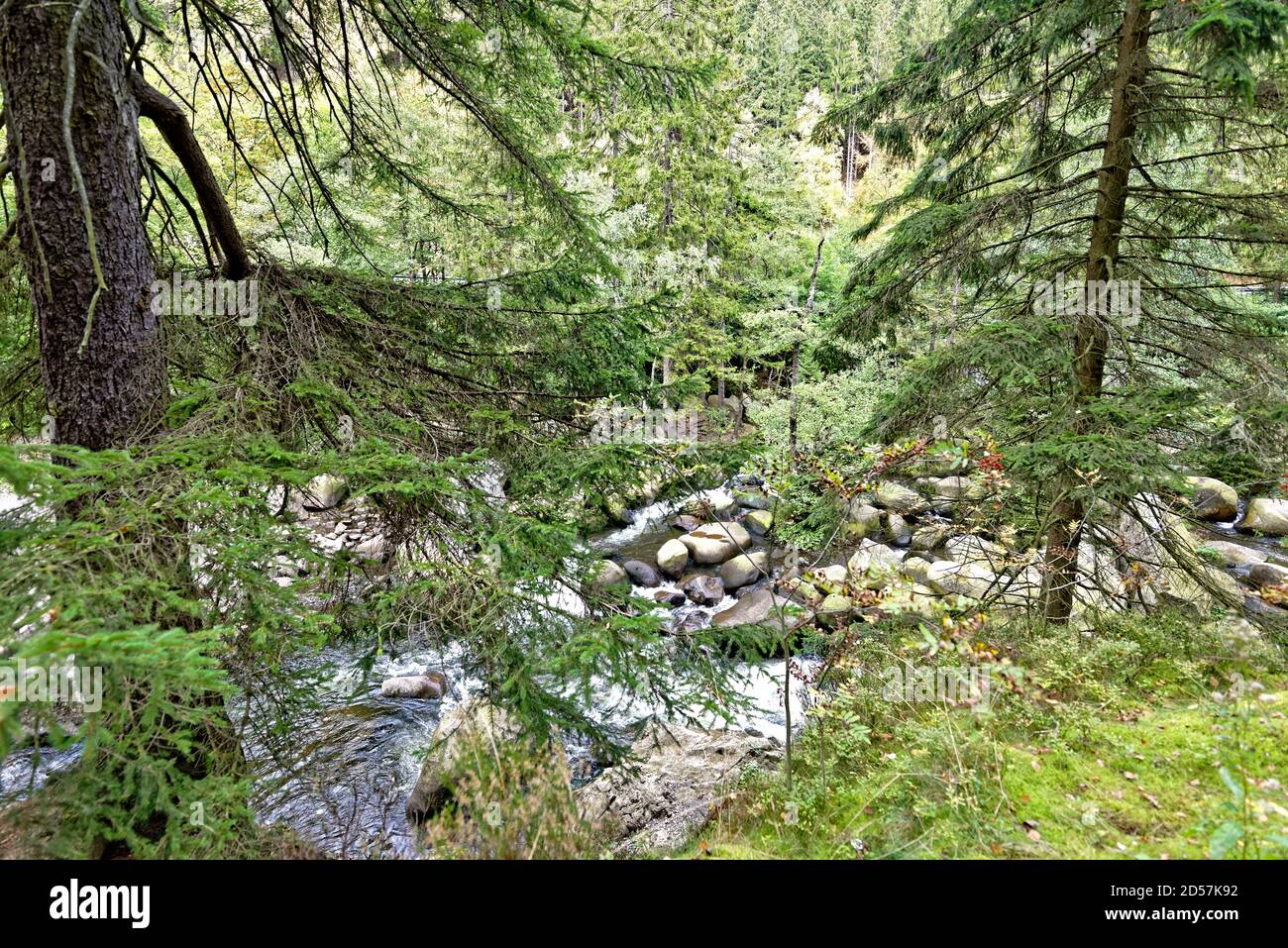 Okertal im Harz, Verlöbungsinsel, Deutschland. Stockfoto