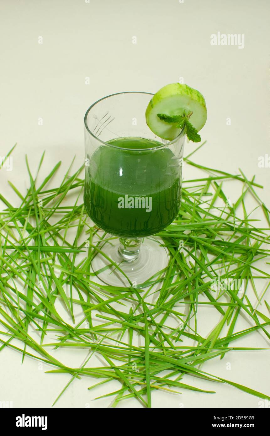 Weizengras, Triticum aestivum Pflanze eine super potente Gesundheit Lebensmittel. Glas mit frischem Saft im Vordergrund Minzblätter und Gurkenscheibe auf dem Stockfoto