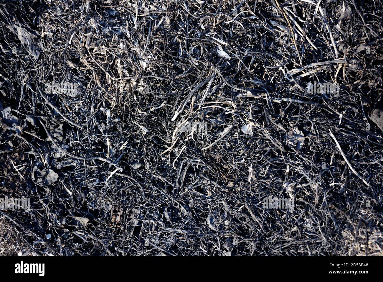 Abstrakter Hintergrund von Asche. Eine dunkle Oberfläche für den Hintergrund Stockfoto