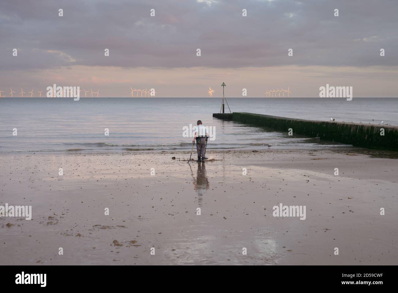 Metalldetektion am Strand von Clacton Stockfoto