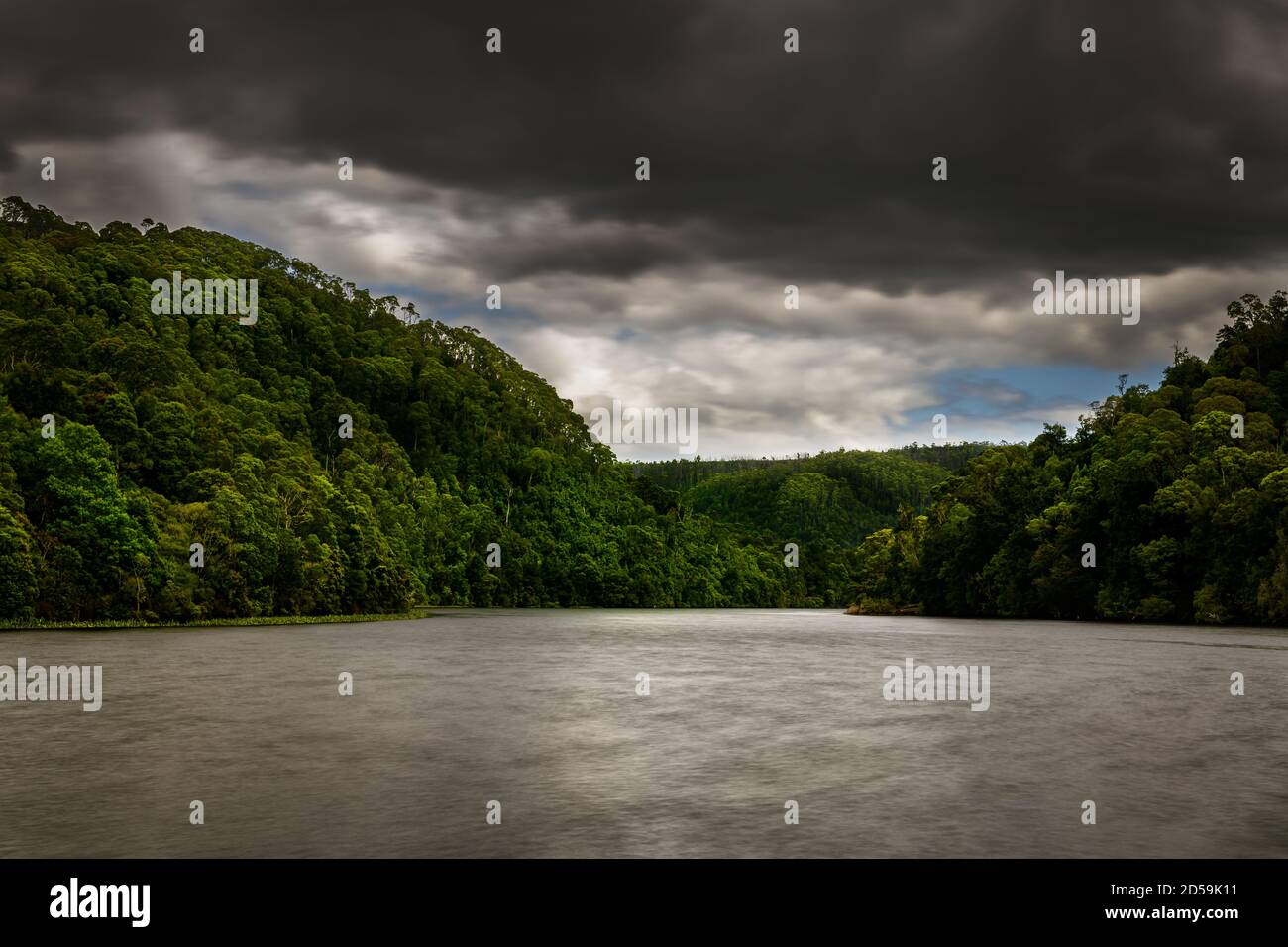 Pieman River in Tasmaniens berühmter Tarkine. Stockfoto
