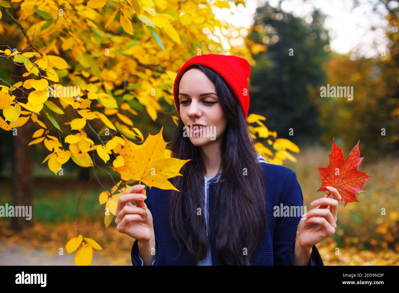 Nette Brünette mit langen Haaren sieht Ahornblatt in ihrer Hand. Herbstkonzept. Porträt im Freien mit farbenfrohem Laub Stockfoto