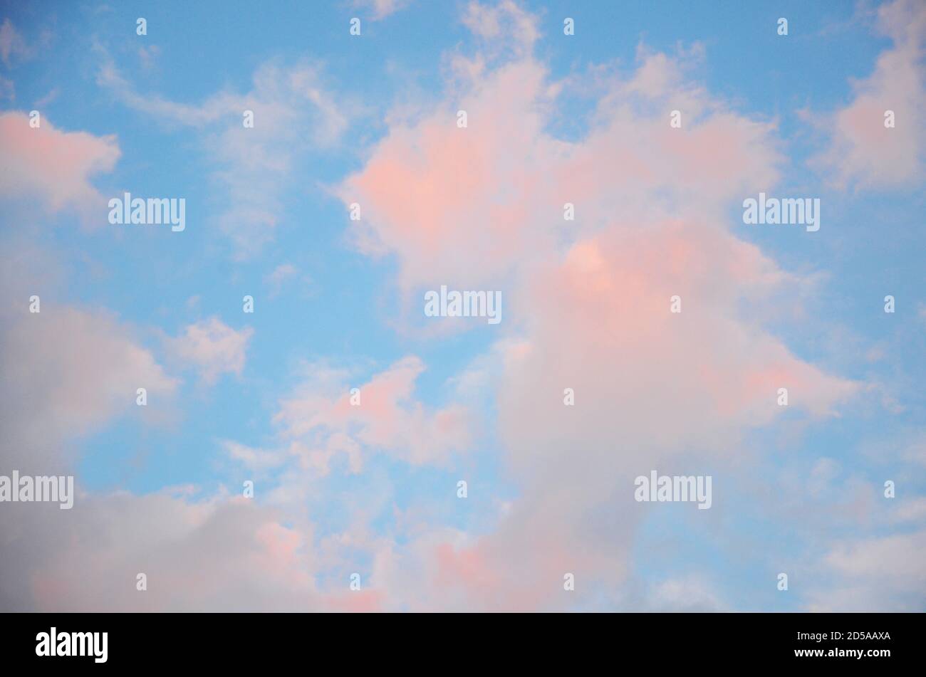 Ein weicher korallenroter Wolkenhintergrund mit einem pastellfarbenen orange bis blauen Farbverlauf. Stockfoto