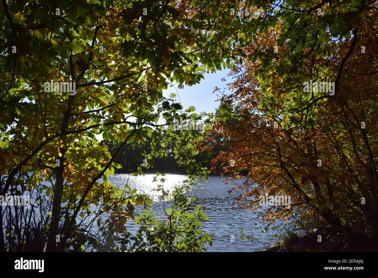 Herbst Farben in der Landschaft Stockfoto
