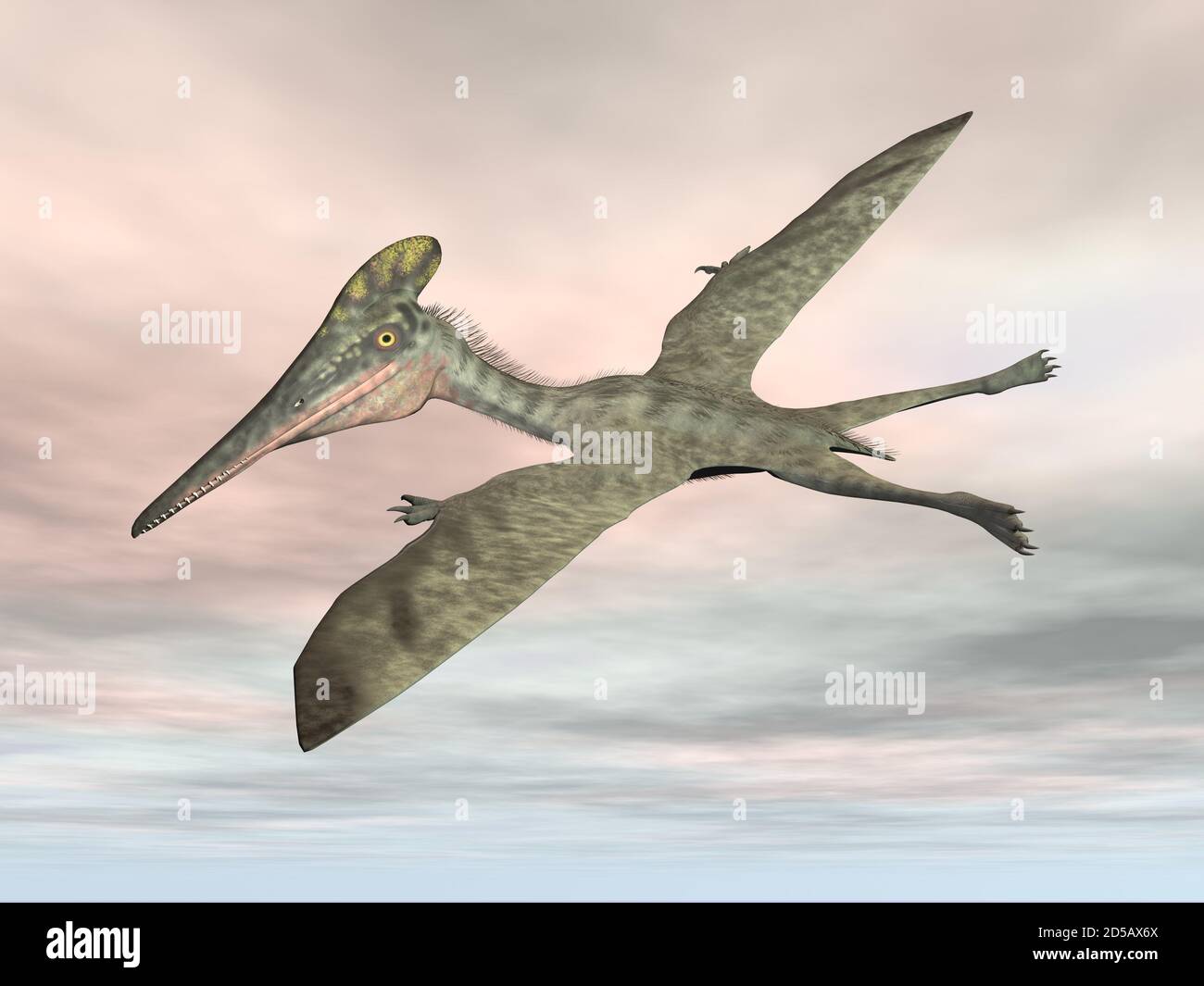 Pterodactylus prähistorische Vogel fliegen - 3D Render Stockfoto