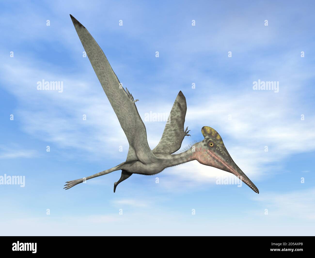 Pterodactylus prähistorische Vogel fliegen - 3D Render Stockfoto