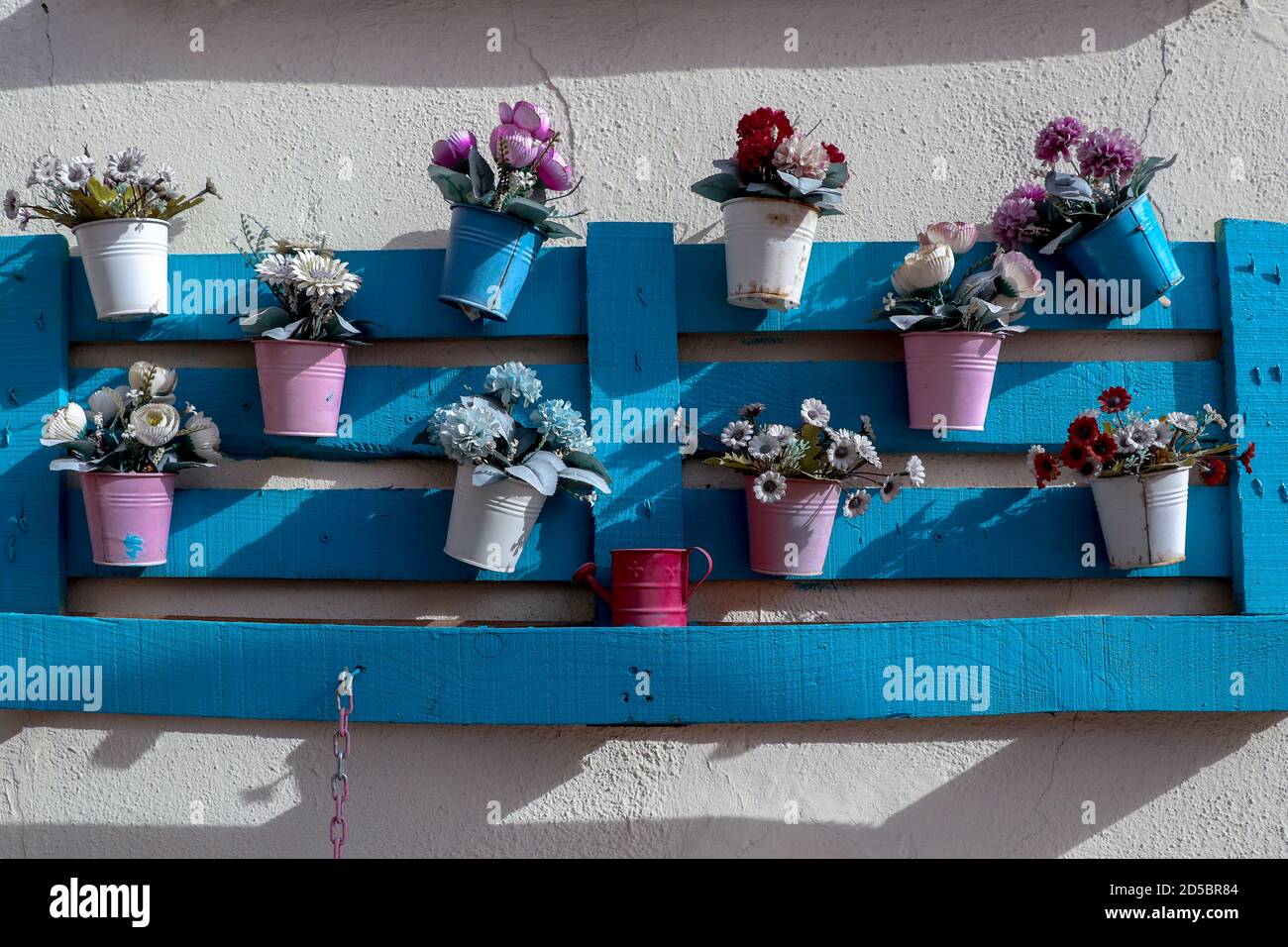 Blaue Holzkiste und Blumentöpfe hängen darauf Stockfoto