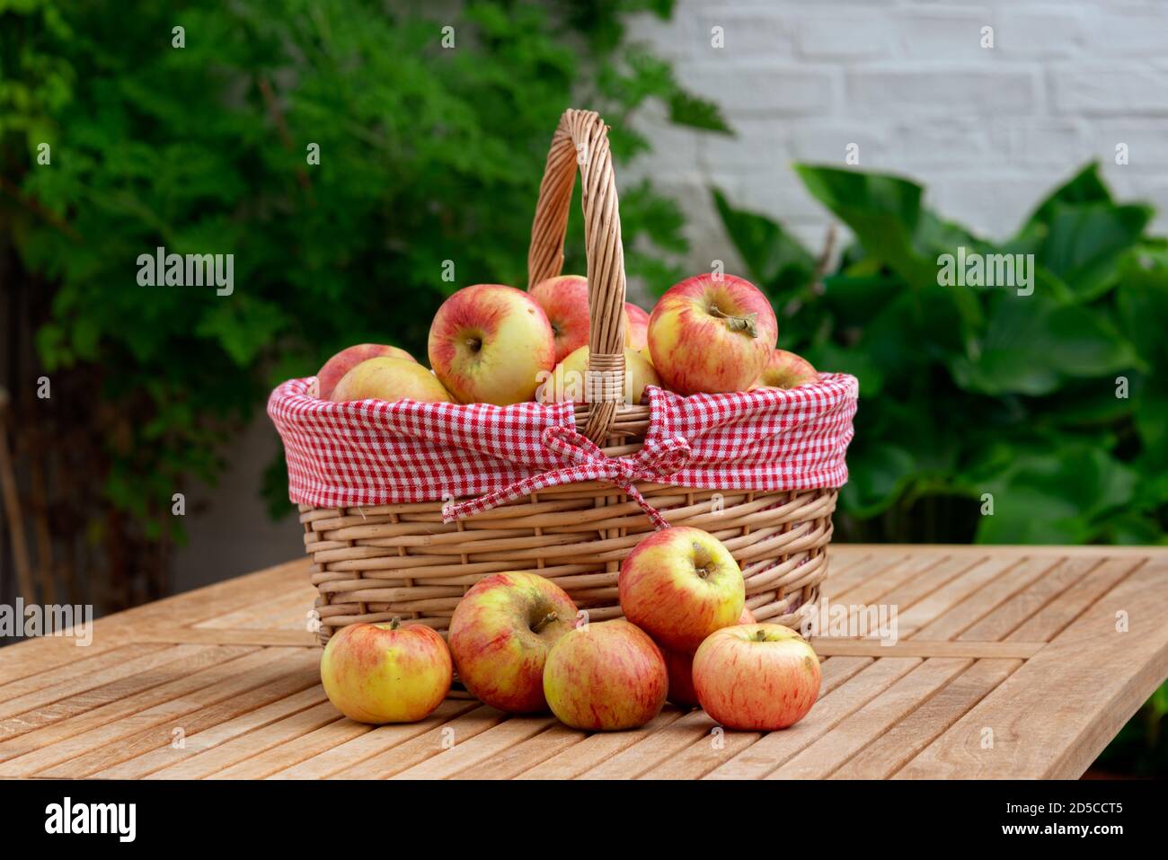 Frische Äpfel im Korb auf einem Gatenisch im Herbst Stockfoto