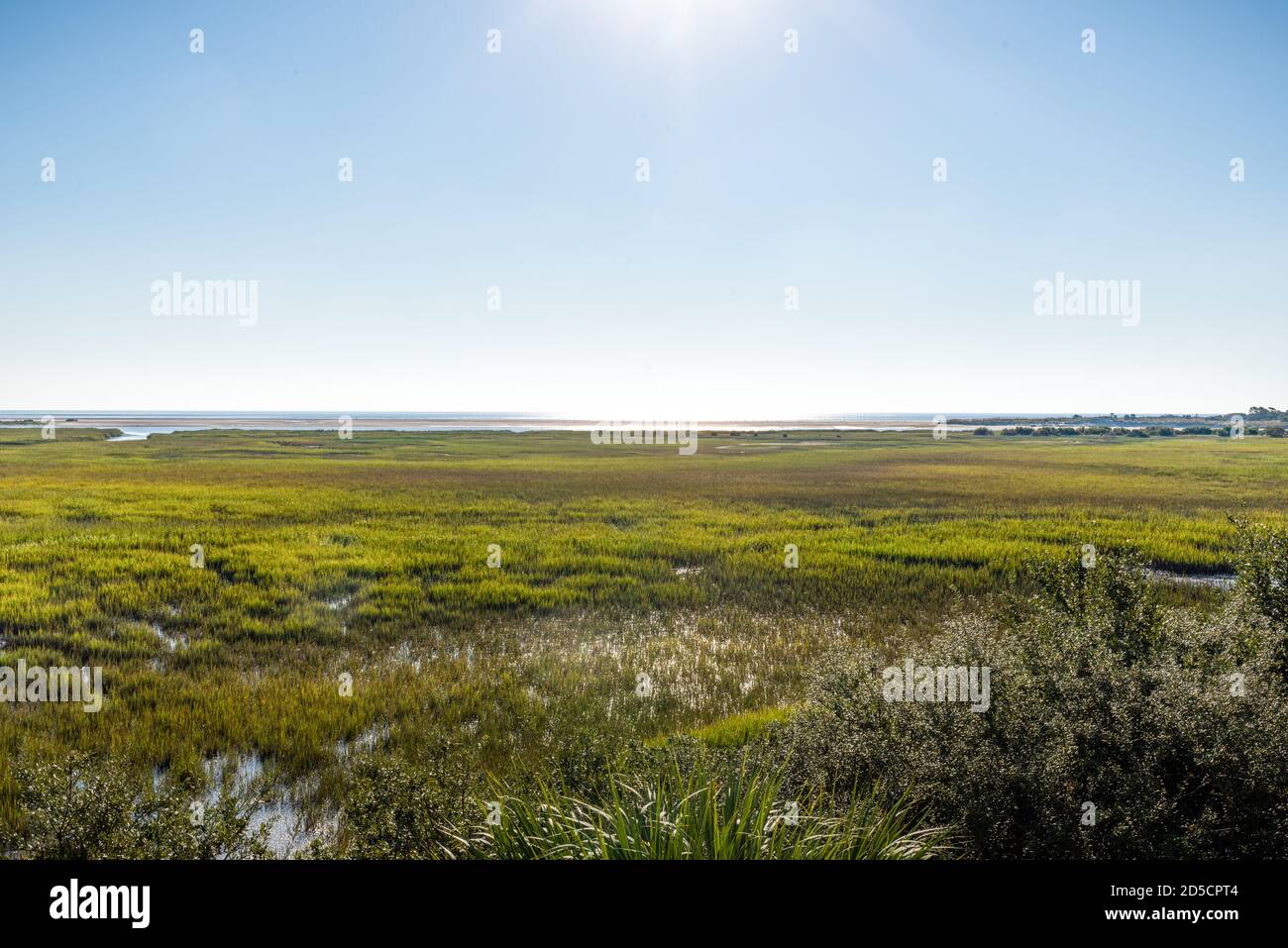 Salzwiesen sind die Heimat vieler wandernder Arten und bieten einen atemberaubenden Blick auf die Sea Islands von South Carolina. Stockfoto