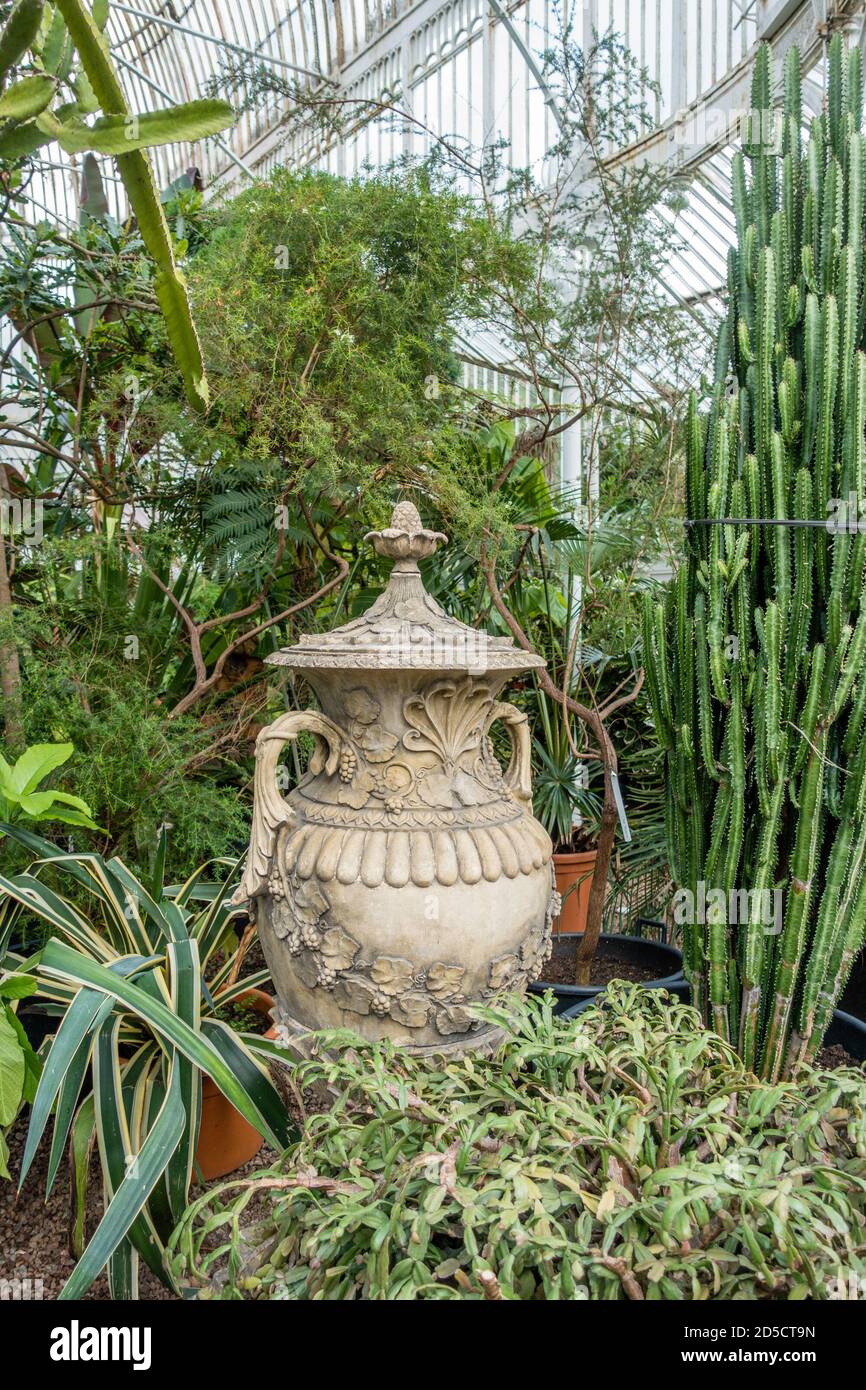 Belfast Botanical Gardens, Palm House. Stockfoto