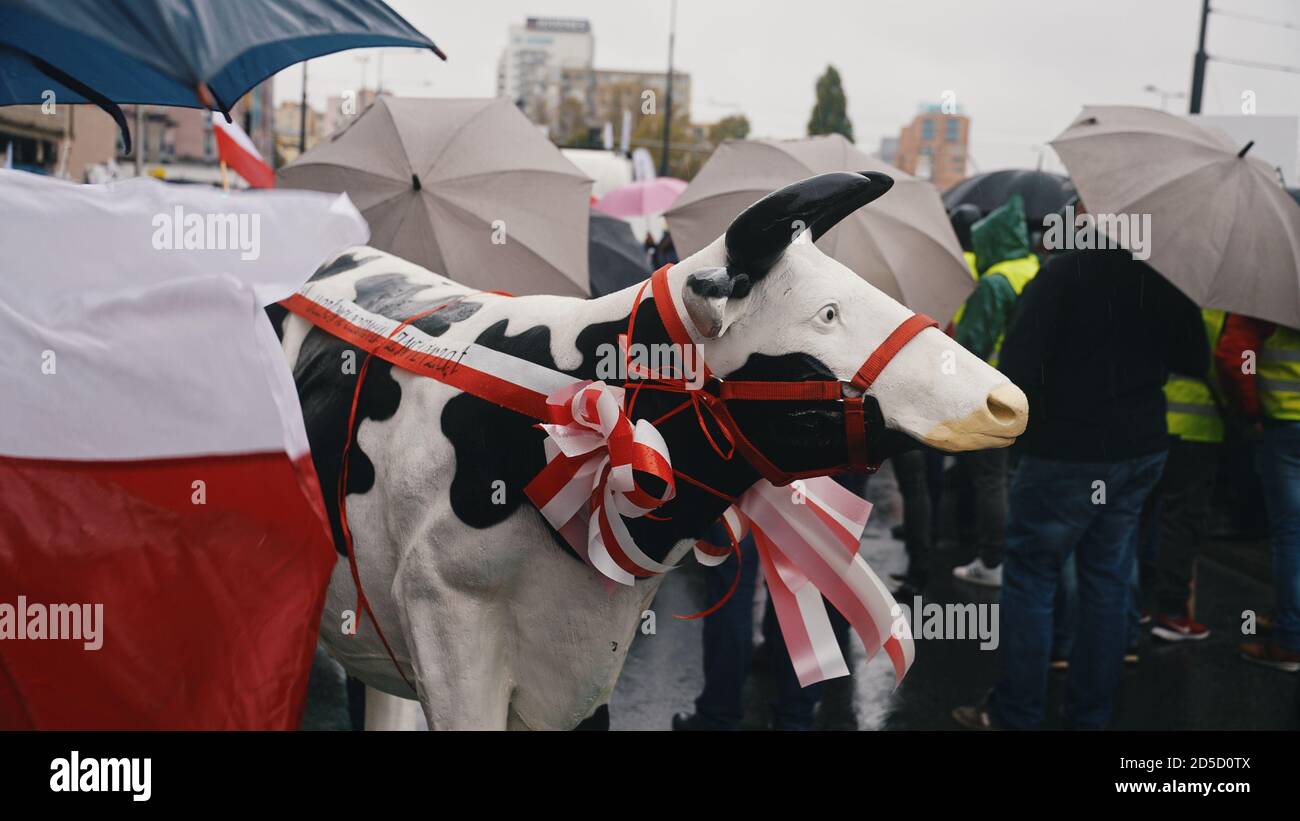 Warschau, Polen 13.10.2020 - Protest der Bauern Molkereikuhmockup mit Stop Humanizing Animals Anti-rituelle Schlachtung Botschaft. Hochwertige Fotos Stockfoto