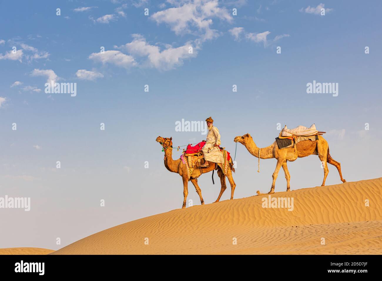 Ein älterer Mann mit seinen Kamelen, Thar Wüste, Rajasthan, Indien Stockfoto