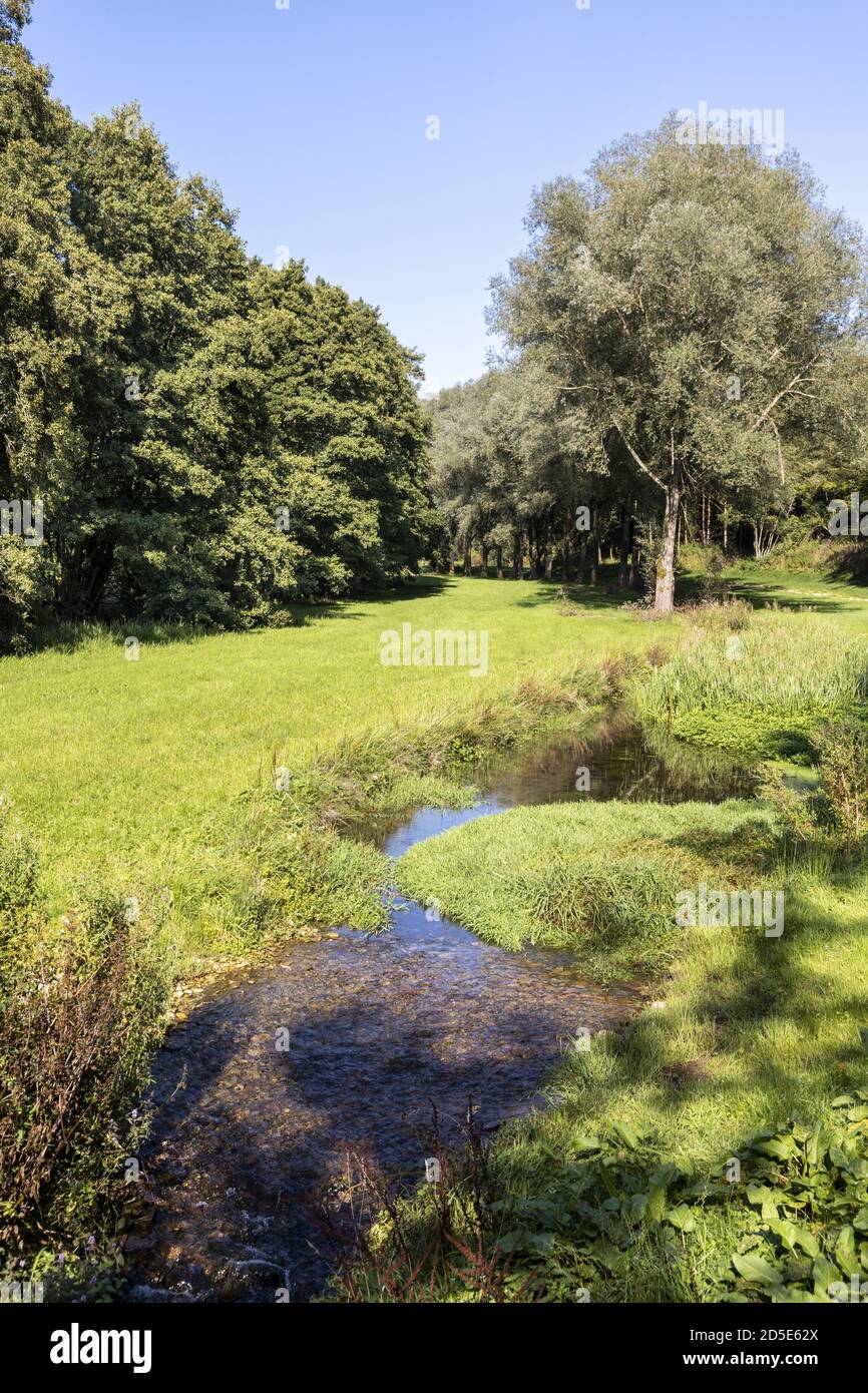 Der Säugling River Windrush in Barton in der Nähe des Cotswold-Dorfes Guiting Power, Gloucestershire, Großbritannien Stockfoto