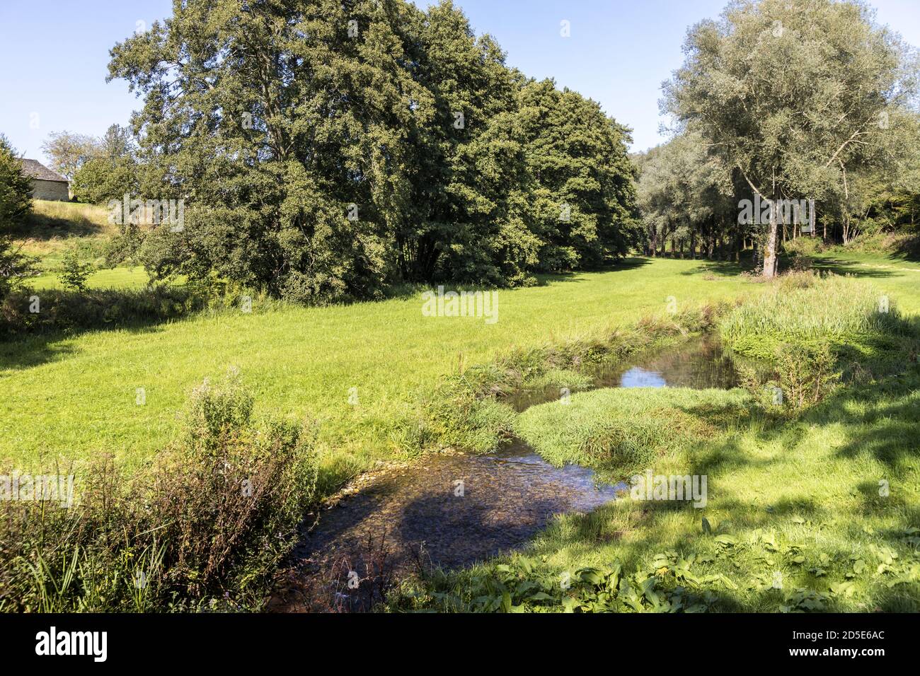 Der Säugling River Windrush in Barton in der Nähe des Cotswold-Dorfes Guiting Power, Gloucestershire, Großbritannien Stockfoto