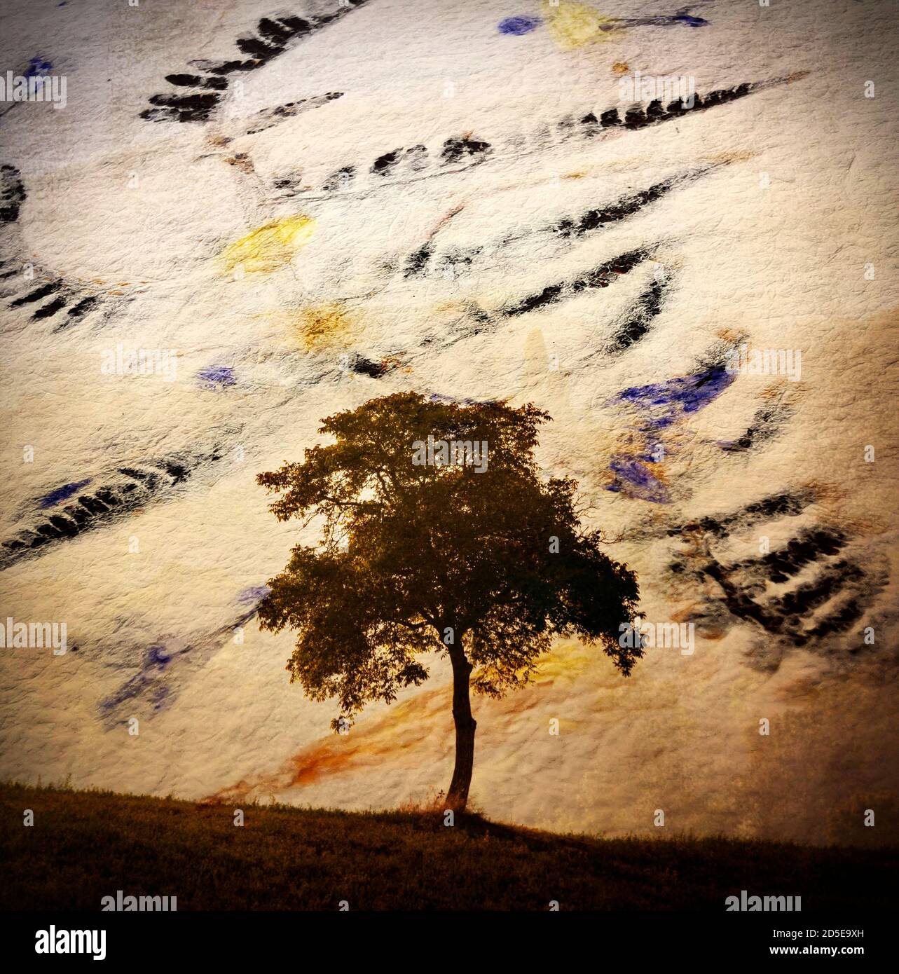 Polaroid Wirkung von Bäumen in der Landschaft, Frankreich, Europa Stockfoto