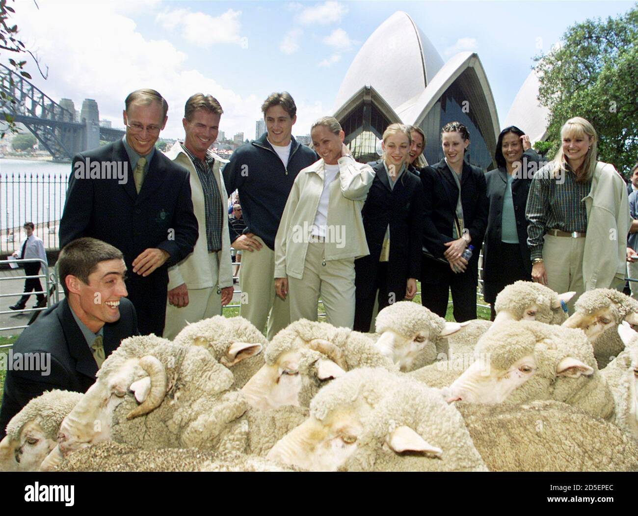 Merino Schafe aus Wolle und Hessischen wolle Ballen auf der National Wool  Museum Geelong, Victoria, Australien Stockfotografie - Alamy