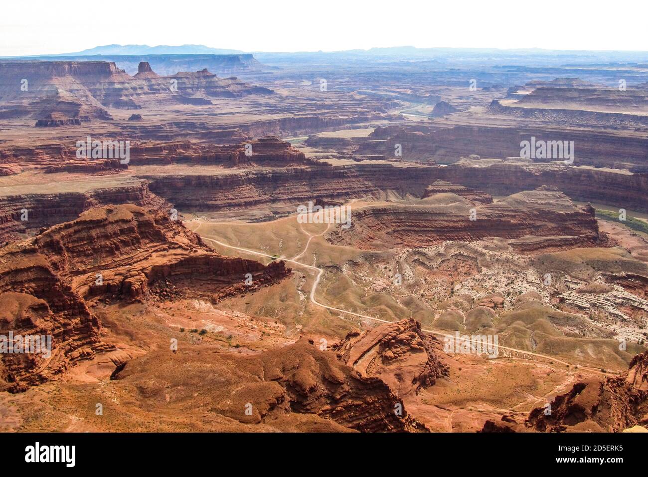 Die zerklüftete, verwitterte Landschaft der Canyons und Klippen in der dunkelrotbraunen Moenkopi-Formation aus Sicht des Dead Horse Point State Park, Utah, Stockfoto
