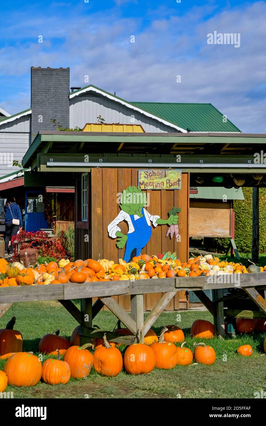 Westham Island Herb Farm, Ladner, Delta, British Columbia, Kanada Stockfoto